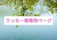 うっちー様専用ページ