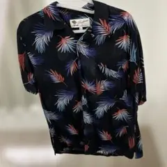 Item thumbnail for item cb7a15f3-e4bd-42f0-b2f9-c7d705d8102c