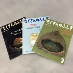 2026年最新】たくさんのふしぎ セットの人気アイテム - メルカリ
