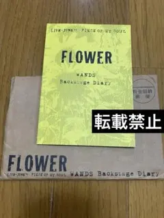 jen出品WANDSフォトブック jen様専用出品WANDSフォトブック - メルカリ