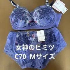 Item thumbnail for item 9e923913-fd94-46b0-ba2b-5616a7b8ca28