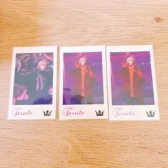 騎士A てるとくん フォトカード 3枚セット