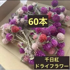 ドライフラワー　花材　千日紅　スワッグ