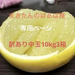 まきたんのばあば様専用ページ 中玉10kg×3箱