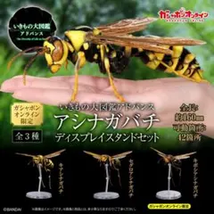 昆虫学者 UR缶バッジ - メルカリ