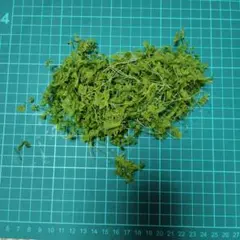 Item thumbnail for item 4131cdb0-c025-47c2-94dd-08509bf5d627