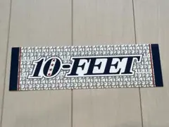 10FEET ステッカー　シール　ロック