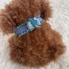 Item thumbnail for item 1ba8f51c-42ee-4a92-a398-7e4baa602d20