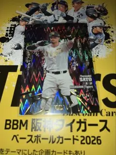 A*I様 ファンクラブシート付き!ザ・ブルーハーツ 初回段ボールジャケ