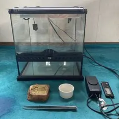 2026年最新】爬虫類飼育セットの人気アイテム - メルカリ