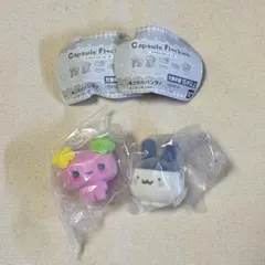 たまごっち カプセルフロッキーズ　みみっち　ふらわっち