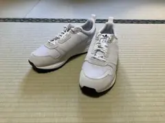 Item thumbnail for item b4fd066c-2e90-4fca-a2b0-7f4016d287ad