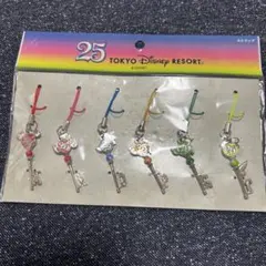 東京ディズニーリゾート 25周年 ドリームキー ストラップ6点セット