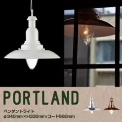 Item thumbnail for item 77f7e2b8-45cd-4c54-a022-dbd74d38784a