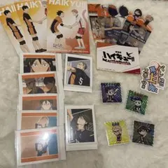 烏野高校 21点まとめ売り