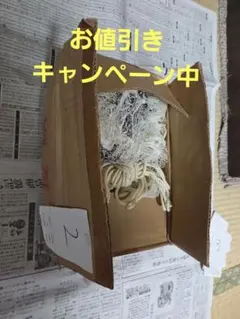 Item thumbnail for item b6afe745-8fc0-4e11-9516-090b75ddc67e