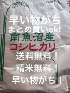 市場調査セール 農家直送 令和7年産 南魚沼産こしひかり 30kg