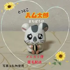とっとこハム太郎　ガチャガチャ　まちぼうけ【こうしくん】①