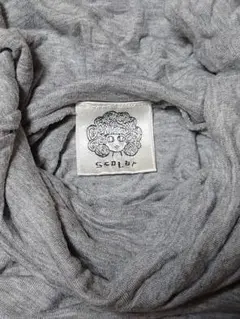 Item thumbnail for item 510cc597-d6e8-43b7-abad-89df545a756b