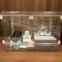 Item thumbnail for item 9f58a00b-351f-4820-8a38-af71c2c6c4a7