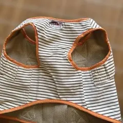 Item thumbnail for item eacdff0d-2dc9-4a7c-be60-fd84e6819383