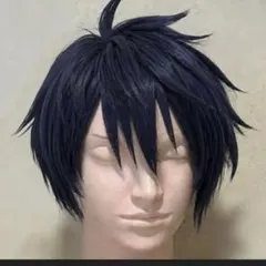 刀剣乱舞 二筋樋貞宗 コスプレ ウィッグ 完成品 カットセット済み