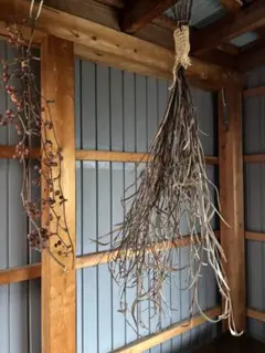 Item thumbnail for item 8da4d737-d057-4fe4-94d9-19a9dc628571