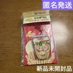 Item thumbnail for item 58015f1e-5825-40cc-b95c-f73d81656959