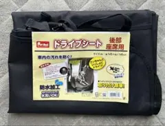 Item thumbnail for item 6315b3c8-9eac-44f7-a194-bd0ad7734828