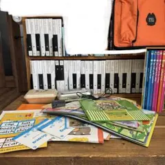 フルセット・カード整理済】ペッピーキッズクラブ モラモラ 英語教材