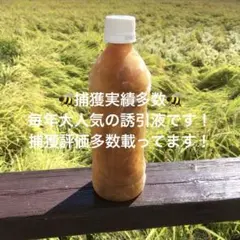 Item thumbnail for item 27c81c7d-1c45-4f05-b99a-a3cefccd055d