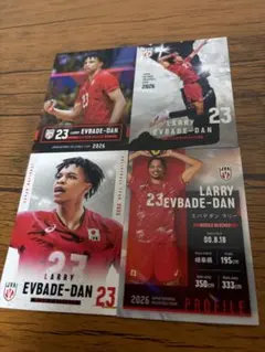 エバデダンラリー選手　バレーボール日本代表　レギュラーカード