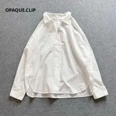 オペークドットクリップ　Vネックスキッパーシャツブラウス　M 白　オーバーサイズ