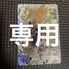 HoSato様専用