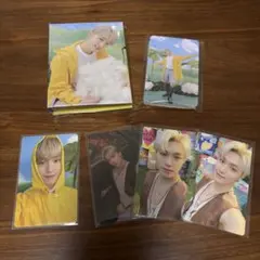 SEVENTEEN DINO ディノHeaven carat盤バインダー