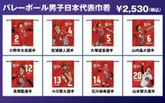 キャラポトレ バレーボール男子日本代表 全24種フルコンプリート 