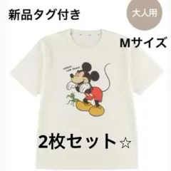 《新品タグ付》インセクトコレクションかまきり カブトムシ 2枚 セットのサムネイル