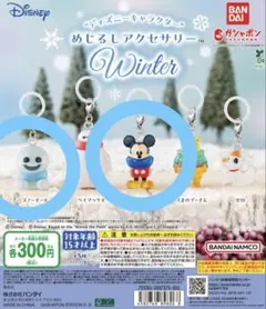 ディズニー めじるしアクセサリー Winter