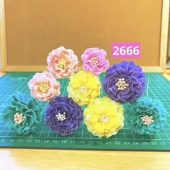 ソラフラワー　2666