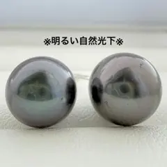 南洋黒蝶真珠 k14WG スタッドピアス ピーコック系グリーン マルチ