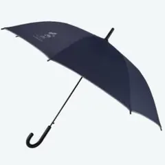 ディズニーランド傘