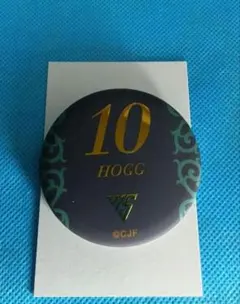 千葉ジェッツ　15周年　缶バッジ No10 ディージェイホグ