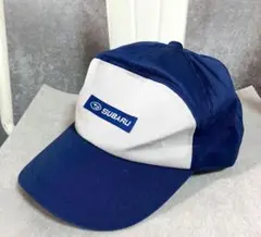 Item thumbnail for item 94a51853-9742-4014-af30-2350433a9123