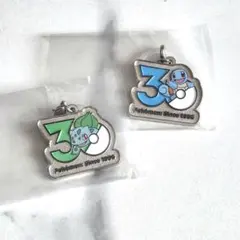 【ポケモン】30周年 メタルチャームマスコット 2個セット