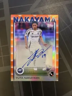 Item thumbnail for item 9b6e15c2-bf70-4b47-8013-2b2a788a1aca