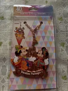 ディズニーランド　40周年　バッグチャーム