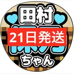 pi様 リクエスト 2点 まとめ商品