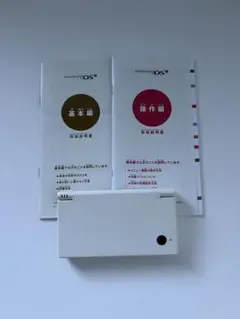 ニンテンドーDSI ホワイト 本体と説明書セット