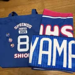 まとめ割！！SAGA久光スプリングス 平山詩嫣 グッズセット