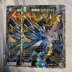 2026年最新】5000vt 2枚の人気アイテム - メルカリ
